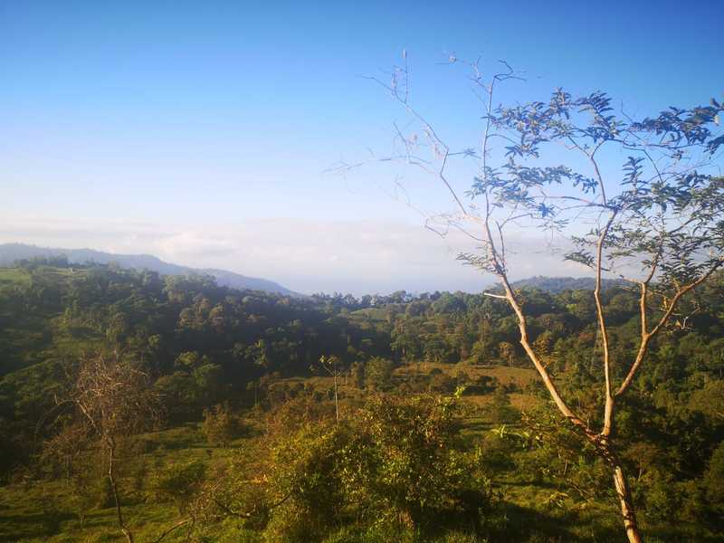 0 bed Land For Sale in Uvita, Puntarenas - 1